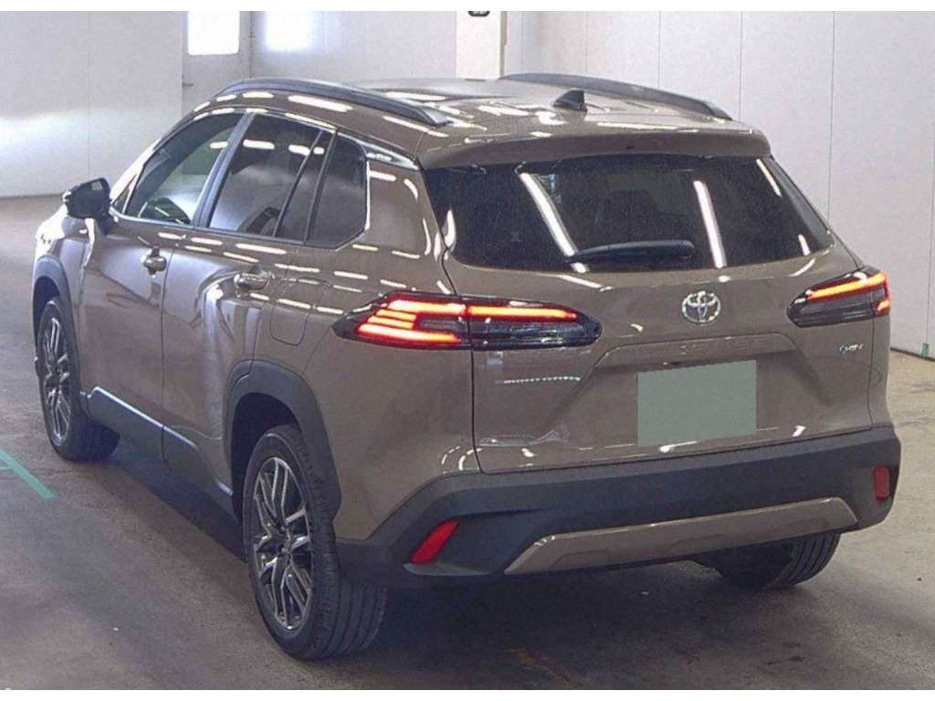 corollacrossgreyback.jpeg
